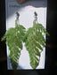 Fern Leaf Earring