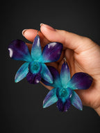 Blue Orchid Earring