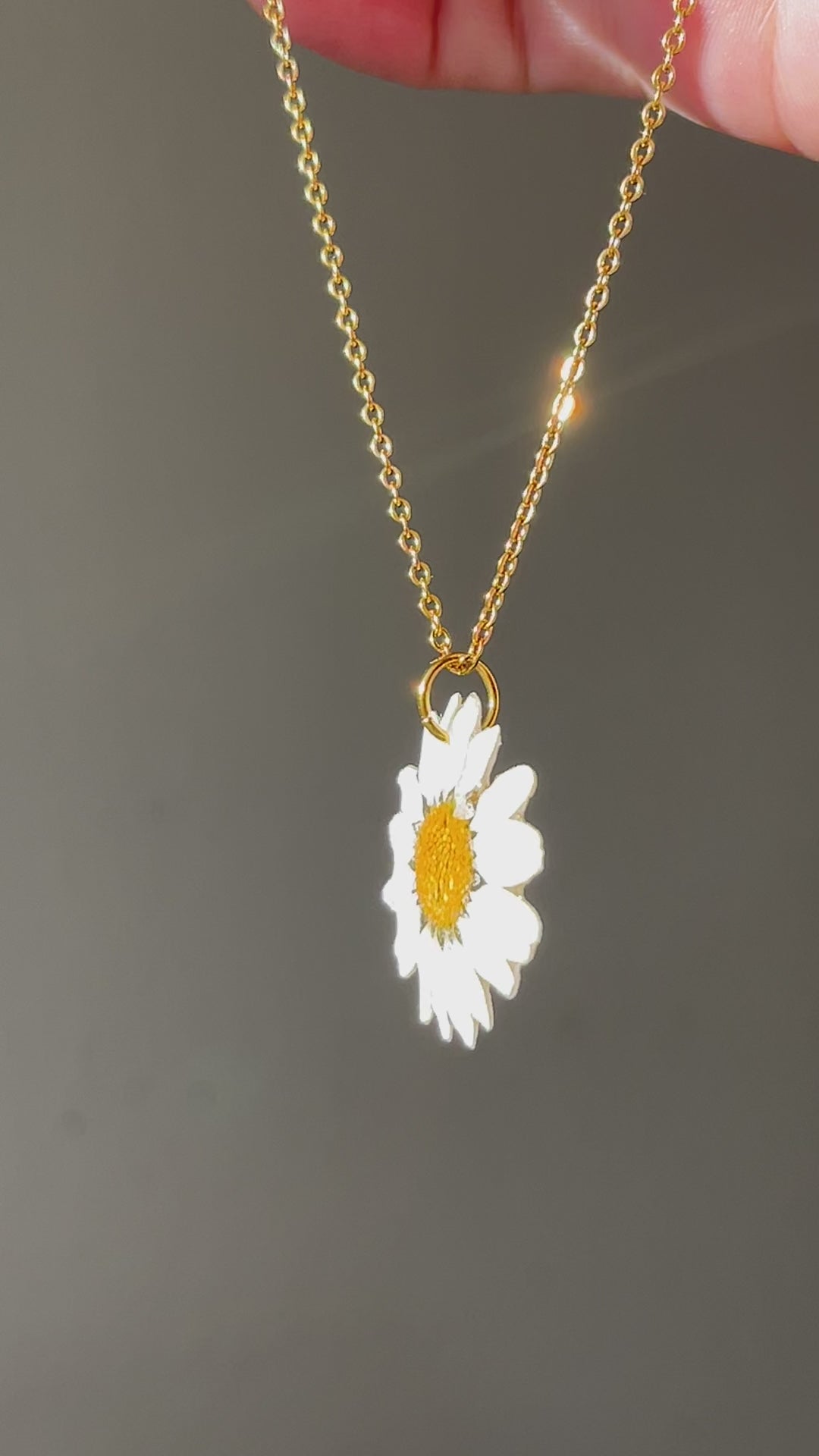 Real Daisy Flower Necklace