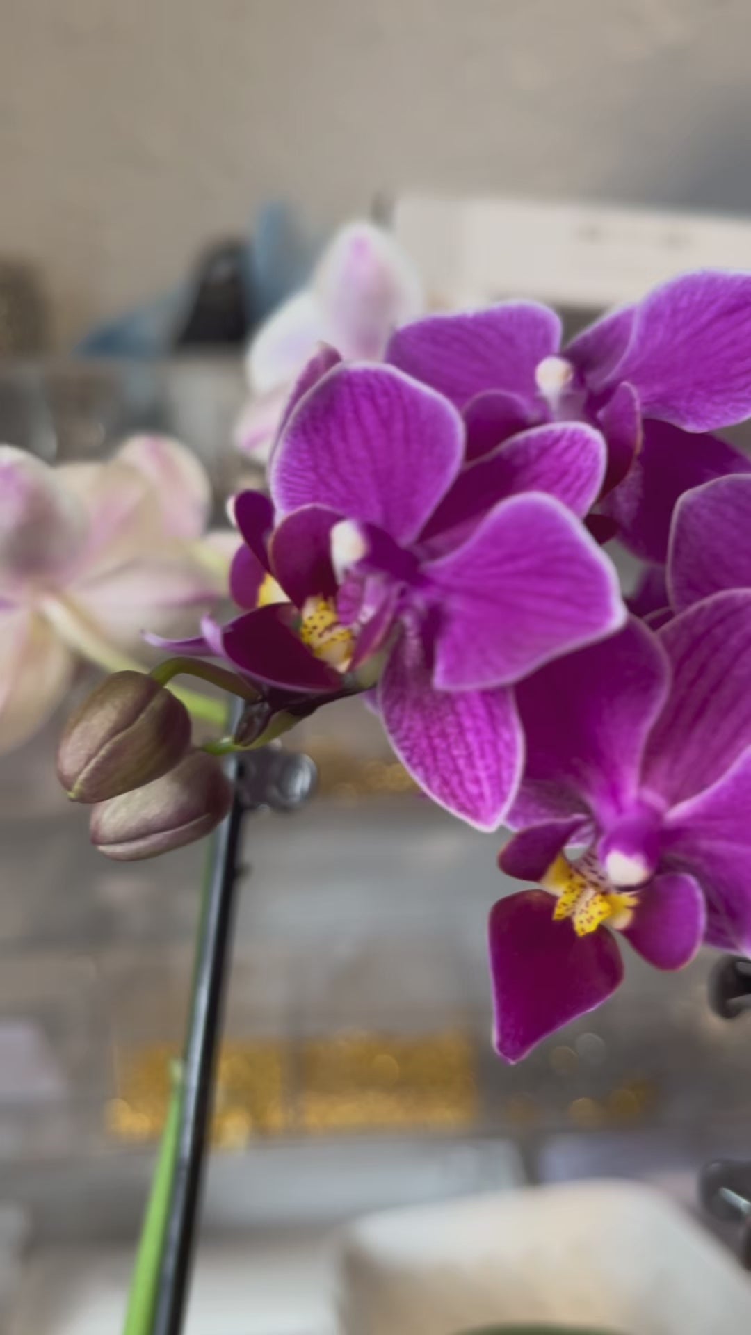 Mini Purple Orchid Earring