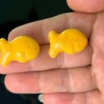 GoldFishCrackerStud SF STDSS (1) cid9
