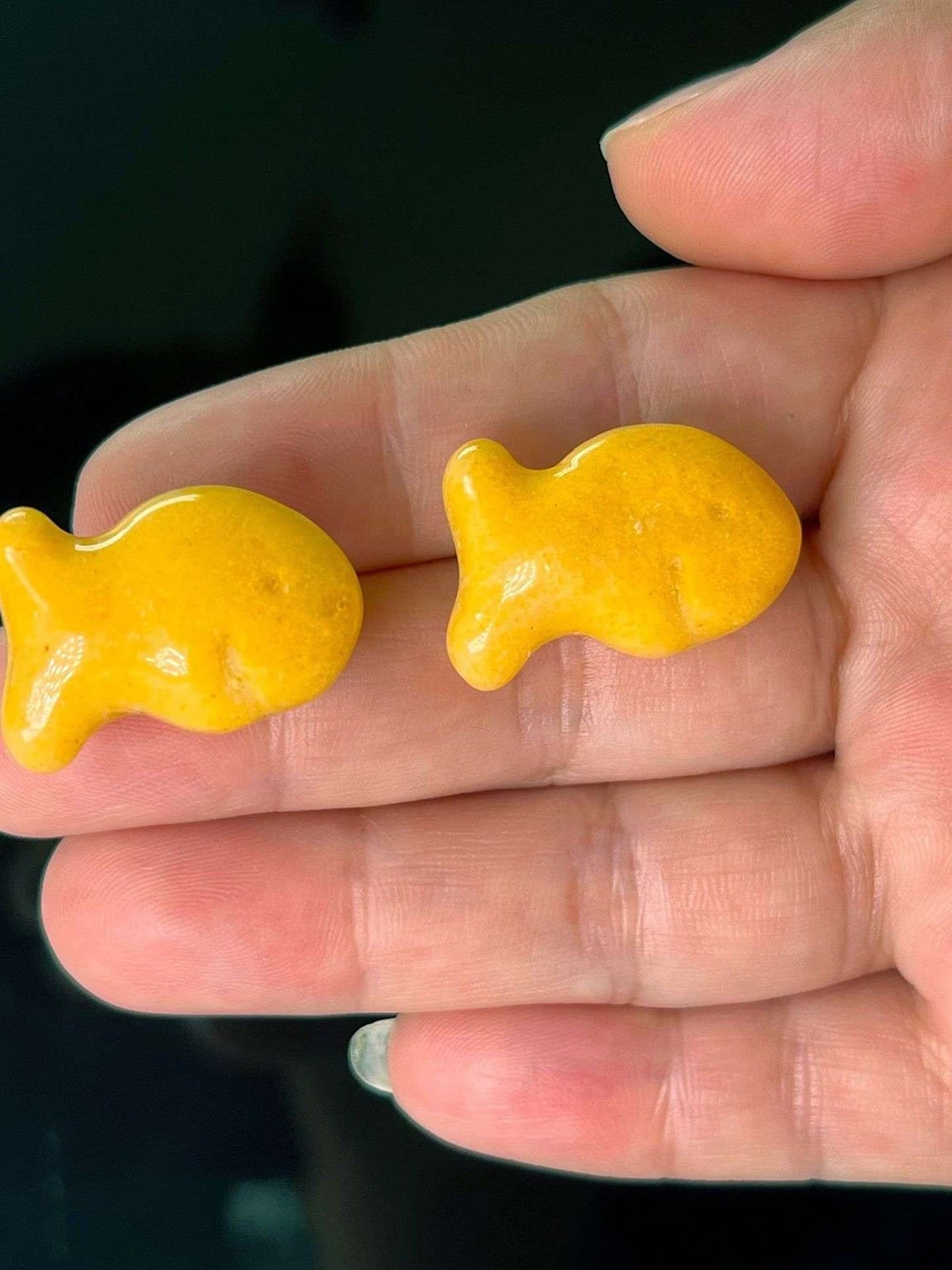GoldFishCrackerStud SF STDSS (1) cid9