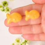 GoldFishCrackerStud SF STDSS (4) cid9