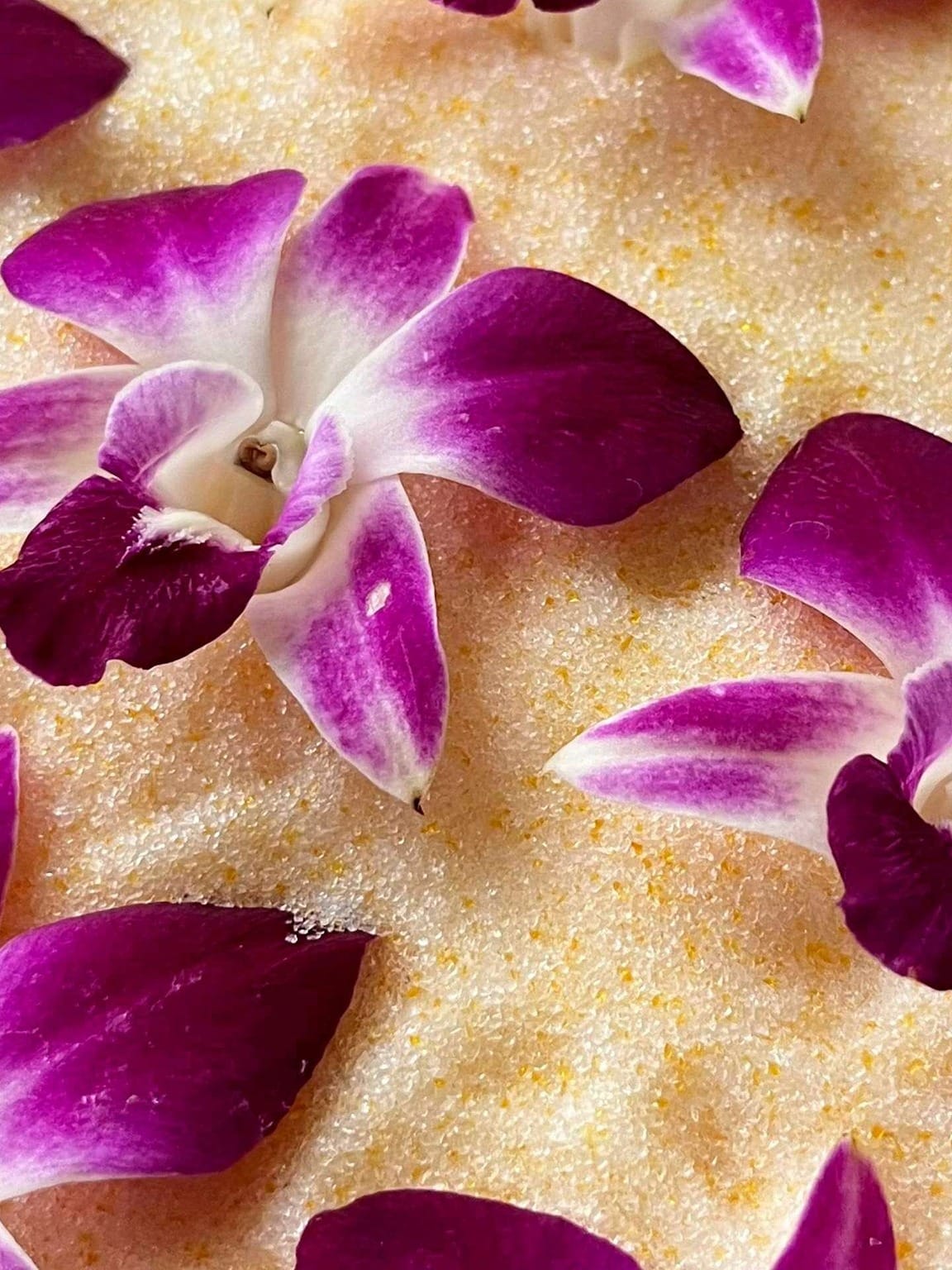 OrchidPurple WIP (3) cid8