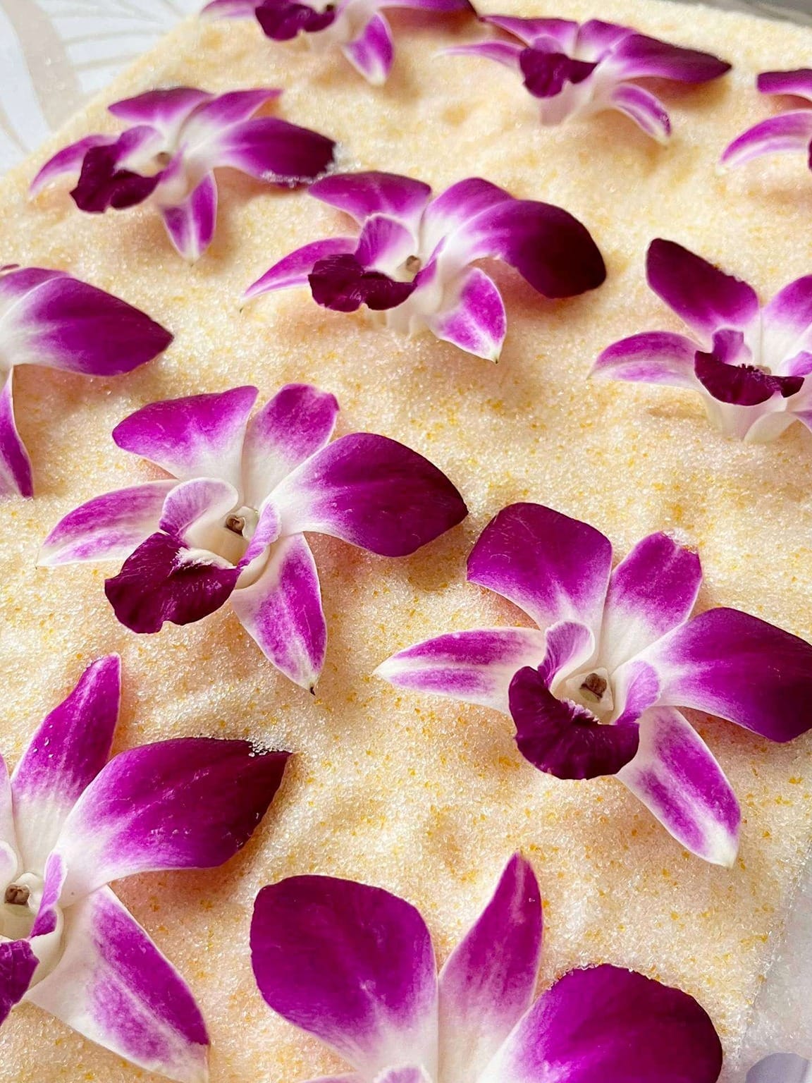 OrchidPurple WIP (4) cid8
